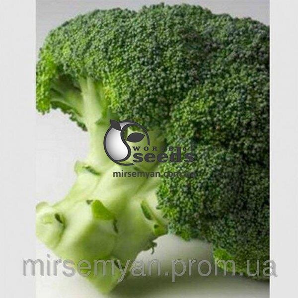 Капуста брокколі рання Капуста брокколі рання