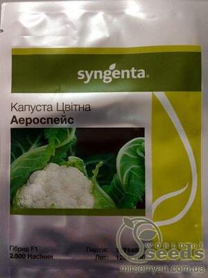 Капуста цвітна Аероспейс F1 2500 нас. (Syngenta) Капуста цвітна Аероспейс F1 2500 нас. (Syngenta)