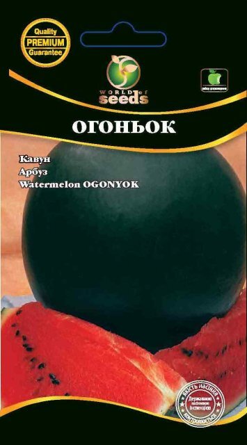 Кавун "Вогник" 2г. WoS Кавун "Вогник" 2г. WoS