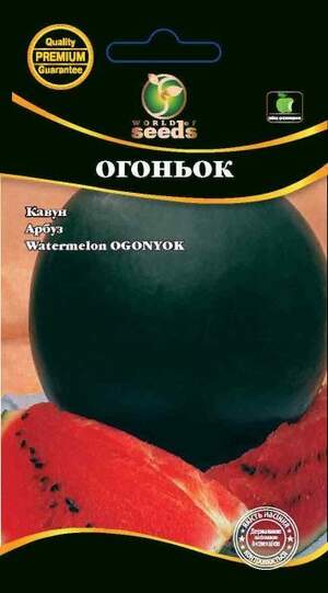 Кавун "Вогник" 2г. WoS Кавун "Вогник" 2г. WoS