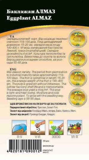 Баклажан  Баклажан