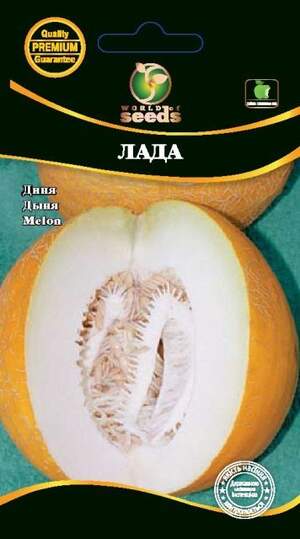 Диня Лада. 2 г. WoS Диня Лада. 2 г. WoS