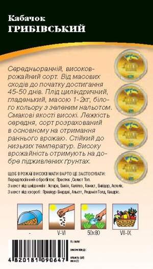 Кабачок "Грибовський" 3 р. WoS Кабачок "Грибовський" 3 р. WoS