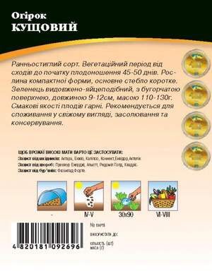 Огірок "Кущовий" 10г. WoS Огірок "Кущовий" 10г. WoS