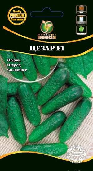 Огірок "Цезар F1" 0,5г. WoS Огірок "Цезар F1" 0,5г. WoS