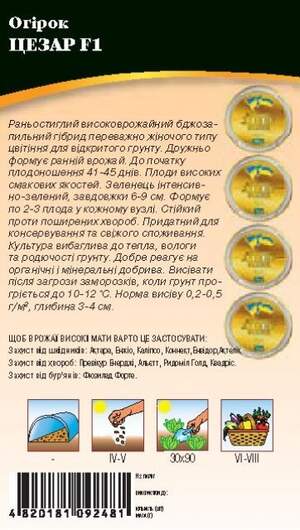 Огірок "Цезар F1" 0,5г. WoS