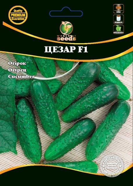 Огірок "Цезар F1" 4г. WoS Огірок "Цезар F1" 4г. WoS