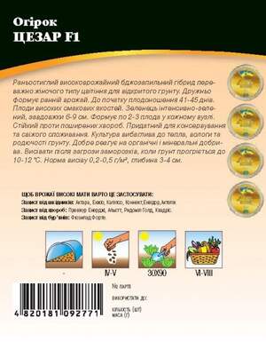 Огірок "Цезар F1" 4г. WoS