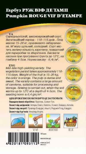 Гарбуз "Руж Віф Де Тамп" 3 г. WoS