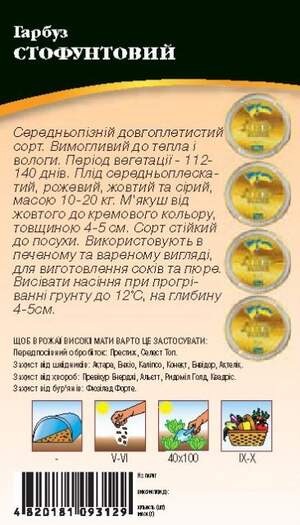 Гарбуз Стофунтовий 3г. WoS Гарбуз Стофунтовий 3г. WoS