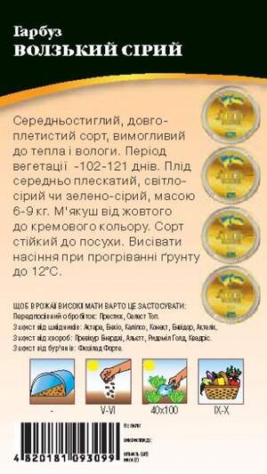 Гарбуз Волзький Сірий 3г. WoS Гарбуз Волзький Сірий 3г. WoS