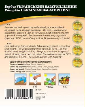 Гарбуз Гарбуз