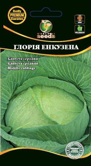 Капуста білокачанна середньопізня "Глорія Енкузена" 1г. WoS