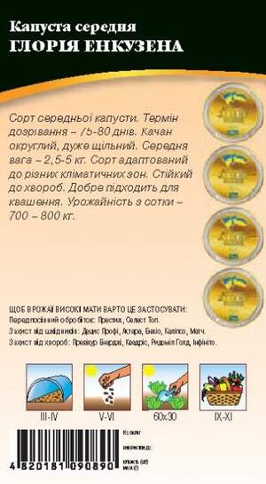 Капуста білокачанна середньопізня "Глорія Енкузена" 1г. WoS