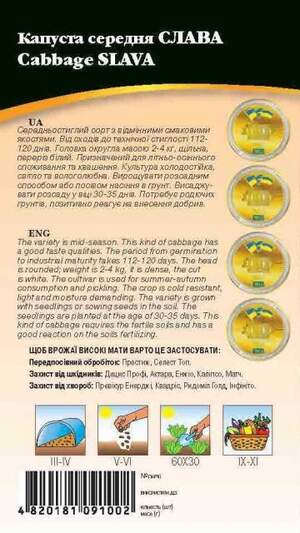Капуста білокачанна середньостигла Капуста білокачанна середньостигла