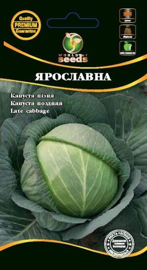 Капуста білокачанна зимова "Ярославна" 1г. WoS