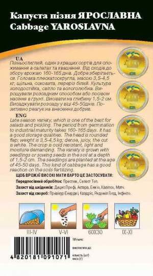 Капуста білокачанна зимова "Ярославна" 1г. WoS