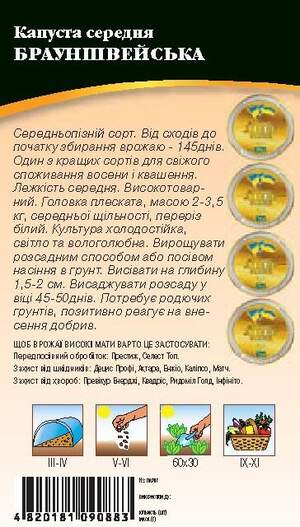 Капуста білокачанна середньопізня "Брауншвейська" 1г. WoS