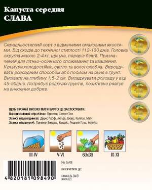 Капуста середньостигла білокачанна "Слава" 10г. WoS