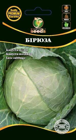 Капуста білокачанна пізня "Бірюза" 1г. WoS