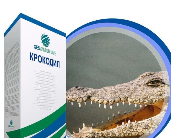 Насіння буряка цукрового Крокодил Насіння буряка цукрового Крокодил