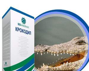 Насіння буряка цукрового Крокодил" SESVANDERHAVE (драже)