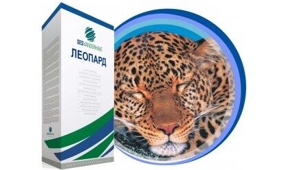 Насіння буряка цукрового "Леопард" SESVANDERHAVE (драже) Насіння буряка цукрового "Леопард" SESVANDERHAVE (драже)