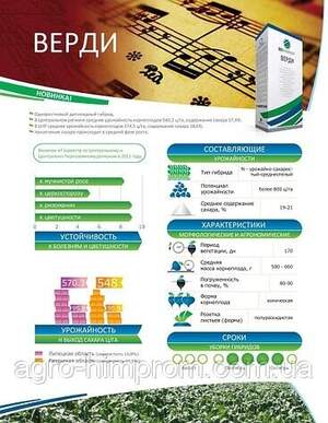 Насіння буряка цукрового "Верді" SESVANDERHAVE (драже)