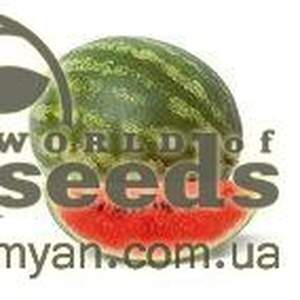 Насіння кавуна "Колумбія" 62-281 F1 100 с, Рійк Цваан, (Rijk Zwaan)