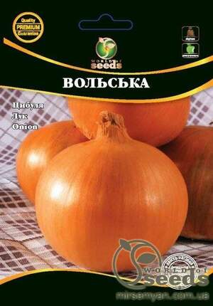 Насіння Лука Вольська 1 г. WoS Насіння Лука Вольська 1 г. WoS