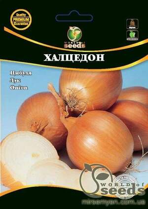Насіння Лука "Халцедон" 100 г. WoS