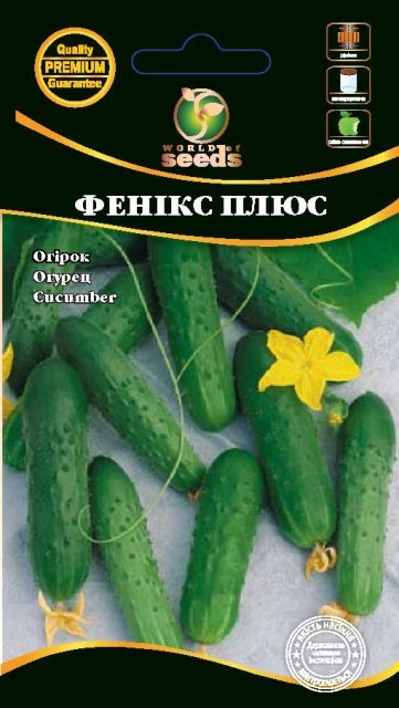 Огірок "Фенікс Плюс" 0,5г. WoS Огірок "Фенікс Плюс" 0,5г. WoS