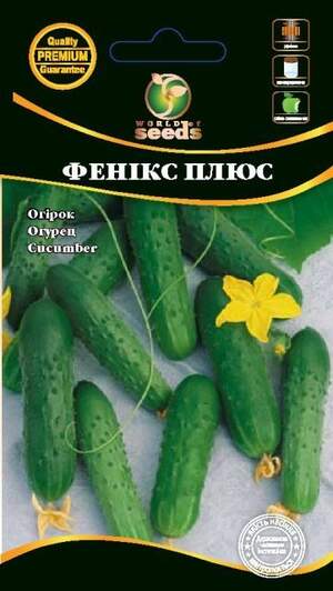 Огірок "Фенікс Плюс" 0,5г. WoS Огірок "Фенікс Плюс" 0,5г. WoS