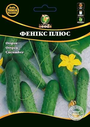 Огірок "Фенікс Плюс" 4г. WoS Огірок "Фенікс Плюс" 4г. WoS