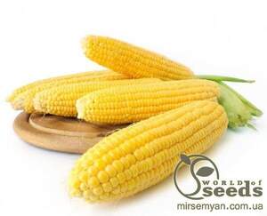 Насіння цукрової кукурудзи 