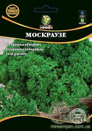 Насіння петрушки листової Москраузе 1 кг