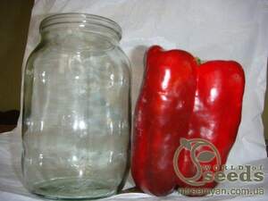 Перець "Геркулес" F1 50г. Clause (France)