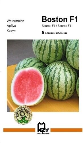 Кавун "Бостон" F1 5 с. А Nunhems