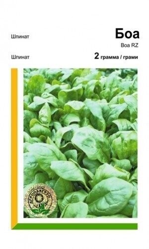 Шпинат ранній "Боа" 2 г, Рік Цван (Rijk Zwaan)