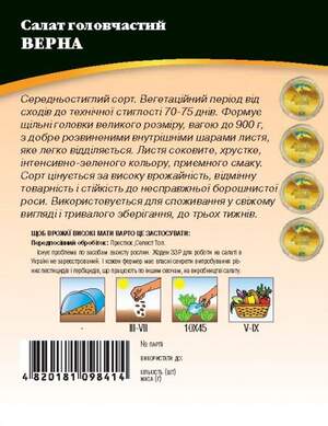 Насіння салату Верна 4г. WoS