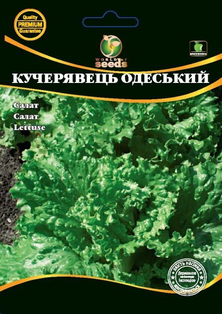 Насіння салату "Кудрявець Одеський" 10 г. WoS Насіння салату "Кудрявець Одеський" 10 г. WoS