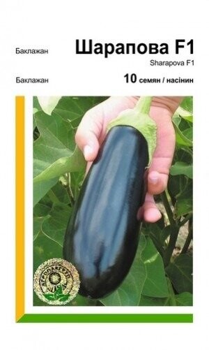 Баклажан Баклажан