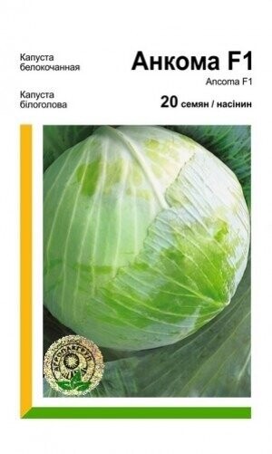 Капуста білокачанна пізня «Анкома» F1 20 насінин, Rijk Zwaan