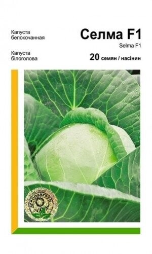 Капуста білокачанна середньопізня «Селма» F1 20 насінин, Rijk Zwaan