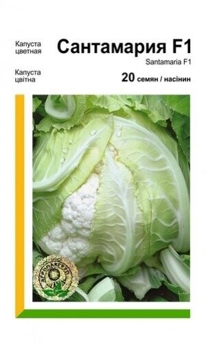 Капуста цвітна «Сантамарія» F1 20 насінин. А Рік Цваан, (Rijk Zwaan)