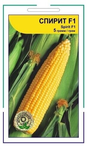 Кукурудза цукрова Спіріт F1 5 гр А  (Syngenta) Кукурудза цукрова Спіріт F1 5 гр А  (Syngenta)