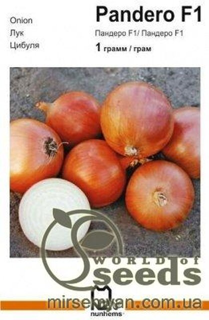 Цибуля "Пандеро" F1 1 м. Нунемс (Nunhems) Цибуля "Пандеро" F1 1 м. Нунемс (Nunhems)