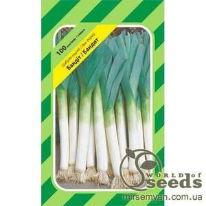 Лука порей "Бандит" F1 100 насінин, А Бейо, (Bejo)