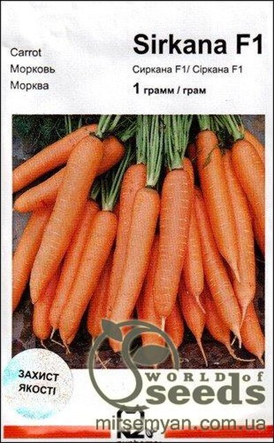 Морква "Сіркана" F1 1 г А Нунемс (Nunhems) Морква "Сіркана" F1 1 г А Нунемс (Nunhems)