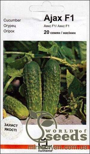 Огірок "Аякс" F1 20 насінин, Нунемс (Nunhems)